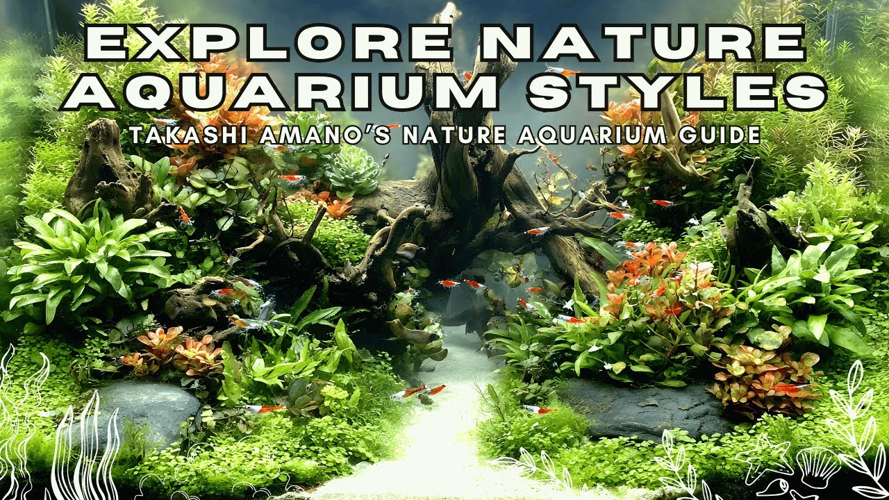 Takashi Amano Nature Aquarium Inspirations 🌿 Underwater Forests, Mountains & Riverbeds