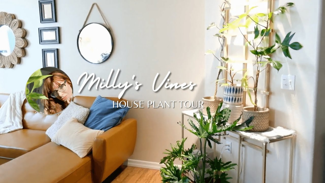 My FIRST House Plant Tour! 🌱