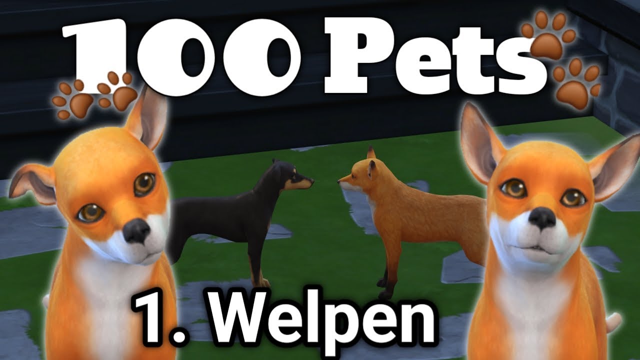 Sie sind sooo HERZIG!🥰  Die Sims 4 - 100 Pets Challenge | Part 6 | natiko