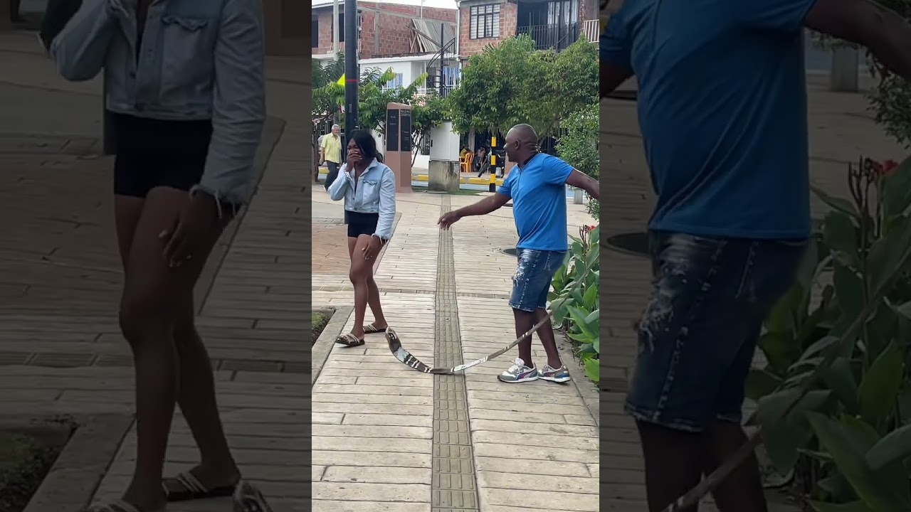 Recopilación Cobras 🙀🙀🤷🏻‍♂️🪱🪱🤣🤣#funny #humor #comedia #comedy #prank 