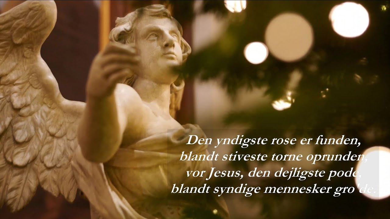 Den yndigste rose er funden