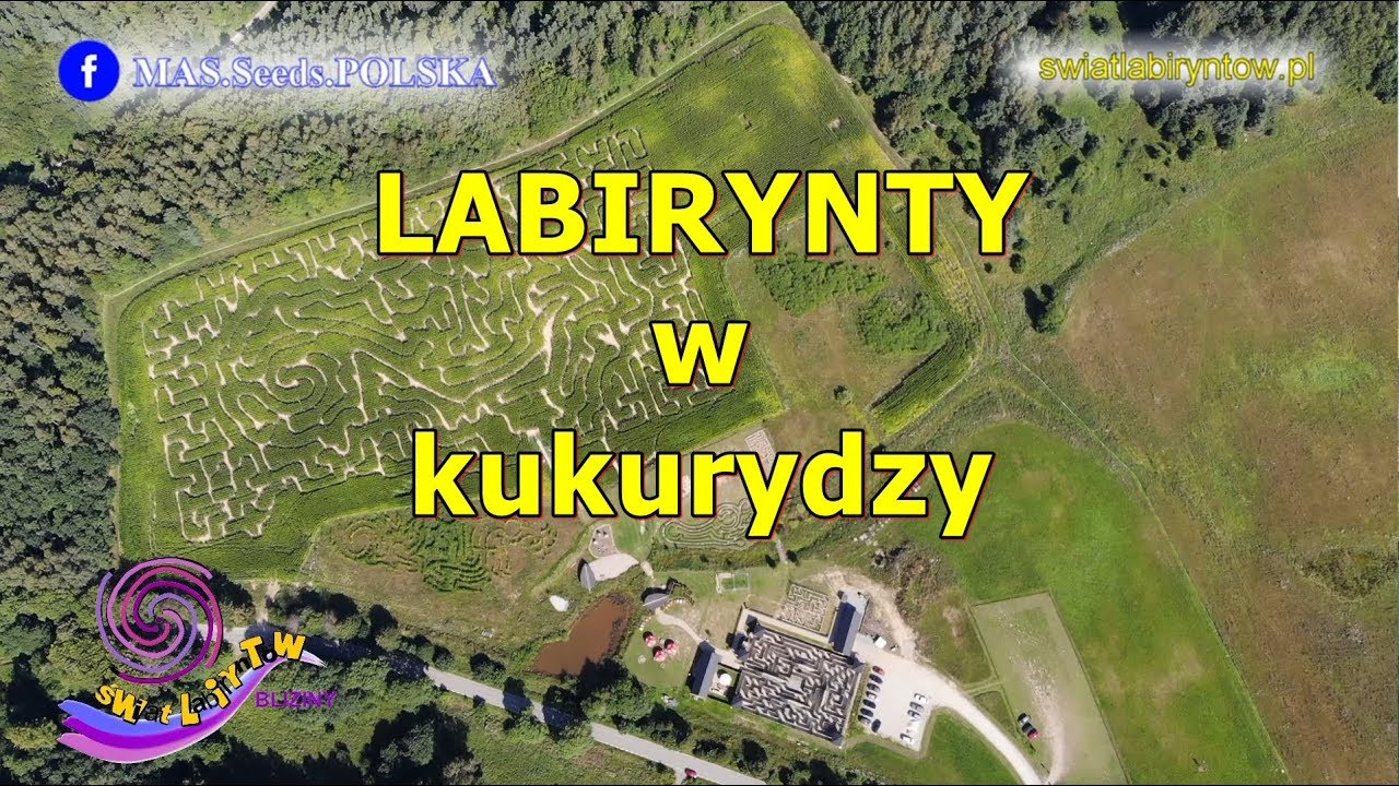 Labirynt na polu z kukurydzą HULK