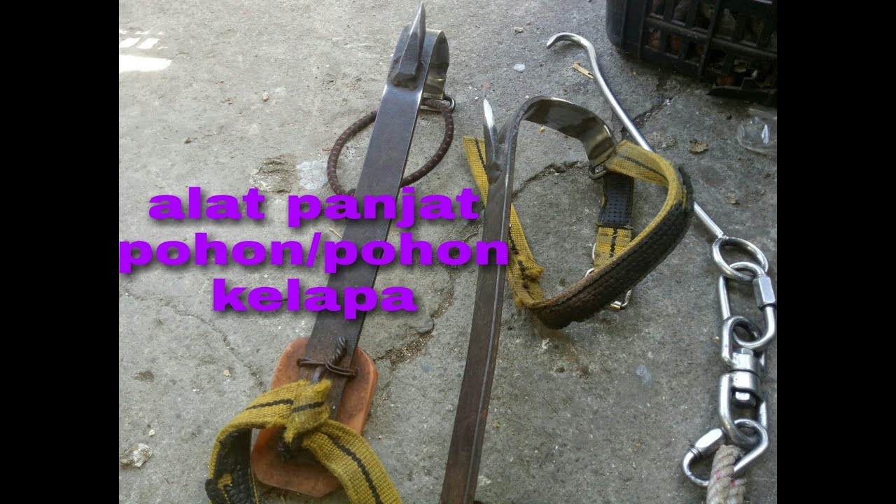 alat panjat pohon/pohon kelapa