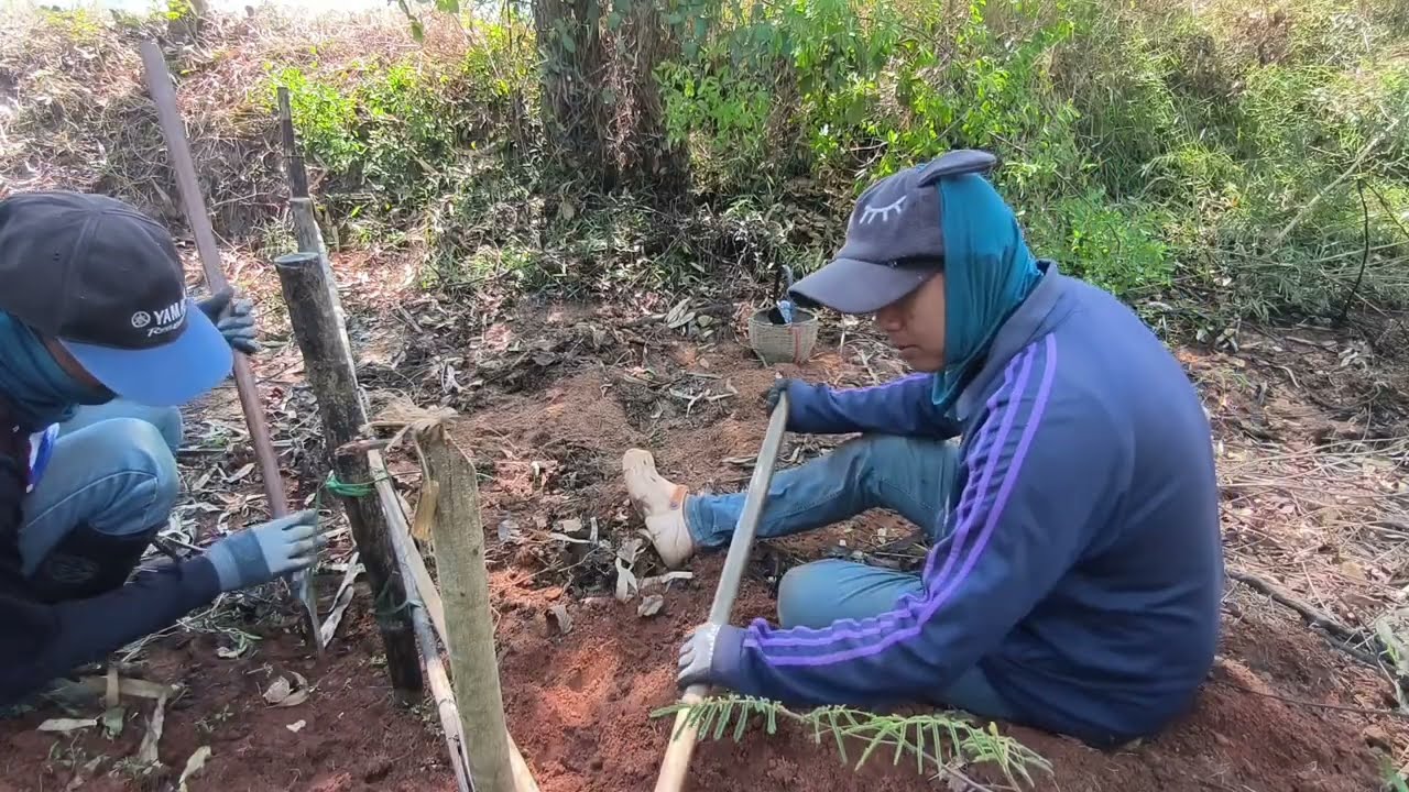 ขัวหอยขมหอยจูบตัวใหญ่มาก