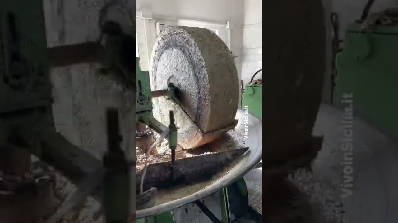 Frantoio in pietra degli anni '70, la molitura delle olive