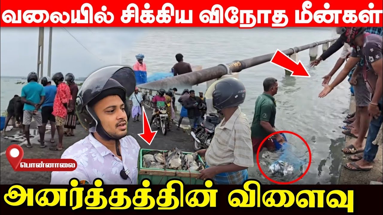 சற்றுமுன் யாழில் அமர்ந்து போன கடலால் ஏற்பட்ட சம்பவம்; பாலத்தில் குவிந்த மக்கள்! | UshanthanView