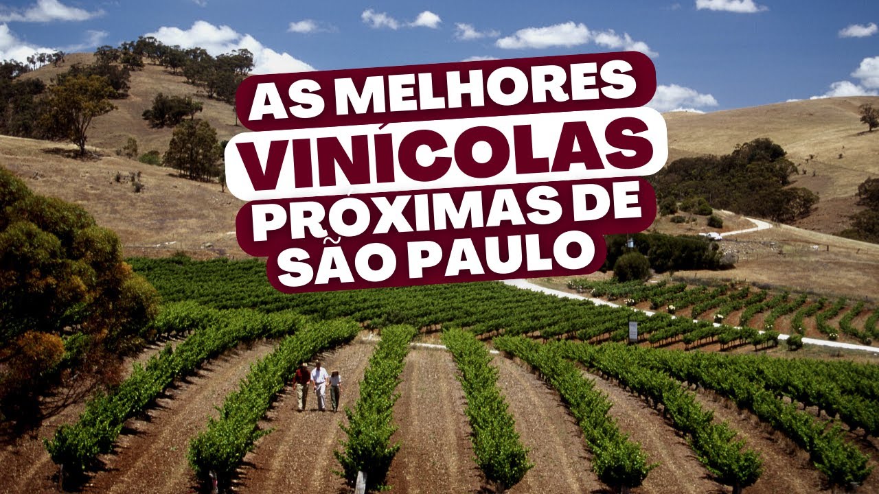 MELHORES VIN&Iacute;COLAS PR&Oacute;XIMAS DE S&Atilde;O PAULO