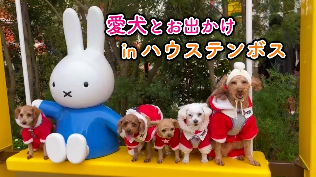 Xmasハウステンボス