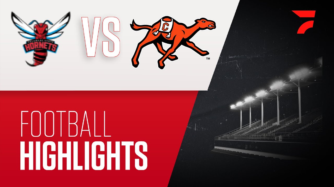 Highlights: Delaware State vs Campbell | 2024 CAA Football