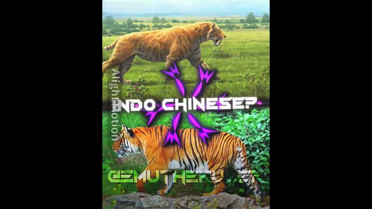 Felidae vs Tiger sub species 