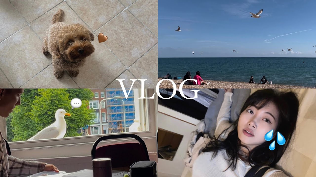 [🇬🇧어학연수] ep.2 영국 어학연수 첫 주는 어떨까? | 브라이튼 어학연수 Vlog | 홈스테이 소개 | 현실적인 적응기...