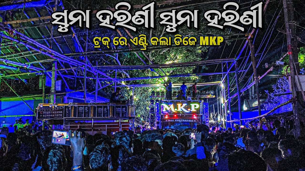 Dj Mkp Pipili Play ସୁନା ହରିଣୀ ସୁନା ହରିଣୀ | HD Quality Video 