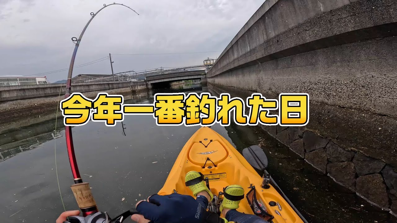 ハイシーズン★シーバス・チヌ何匹釣れるかな