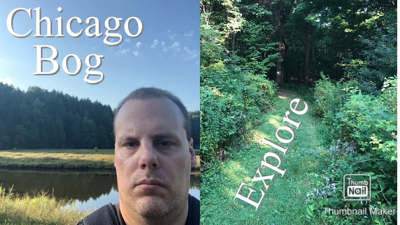 Lime Hollow Nature Center(Chicago Bog) Hike + Drone Fly