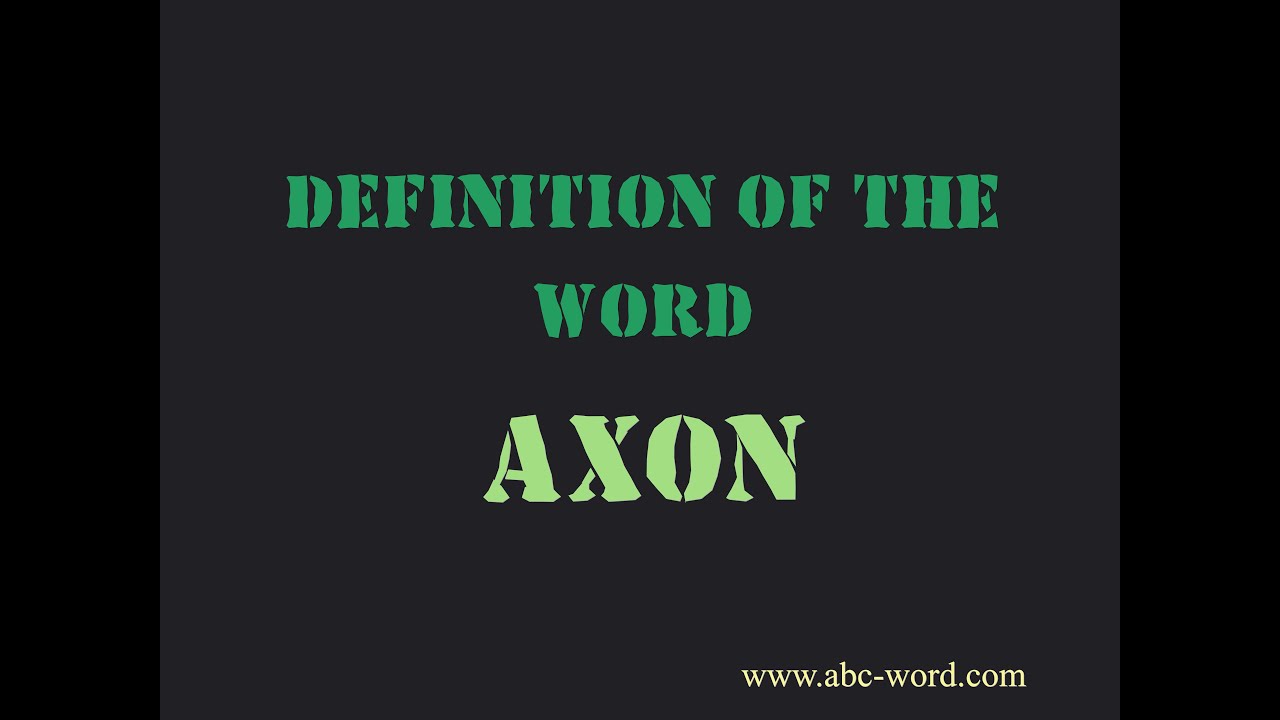 Definition of the word 