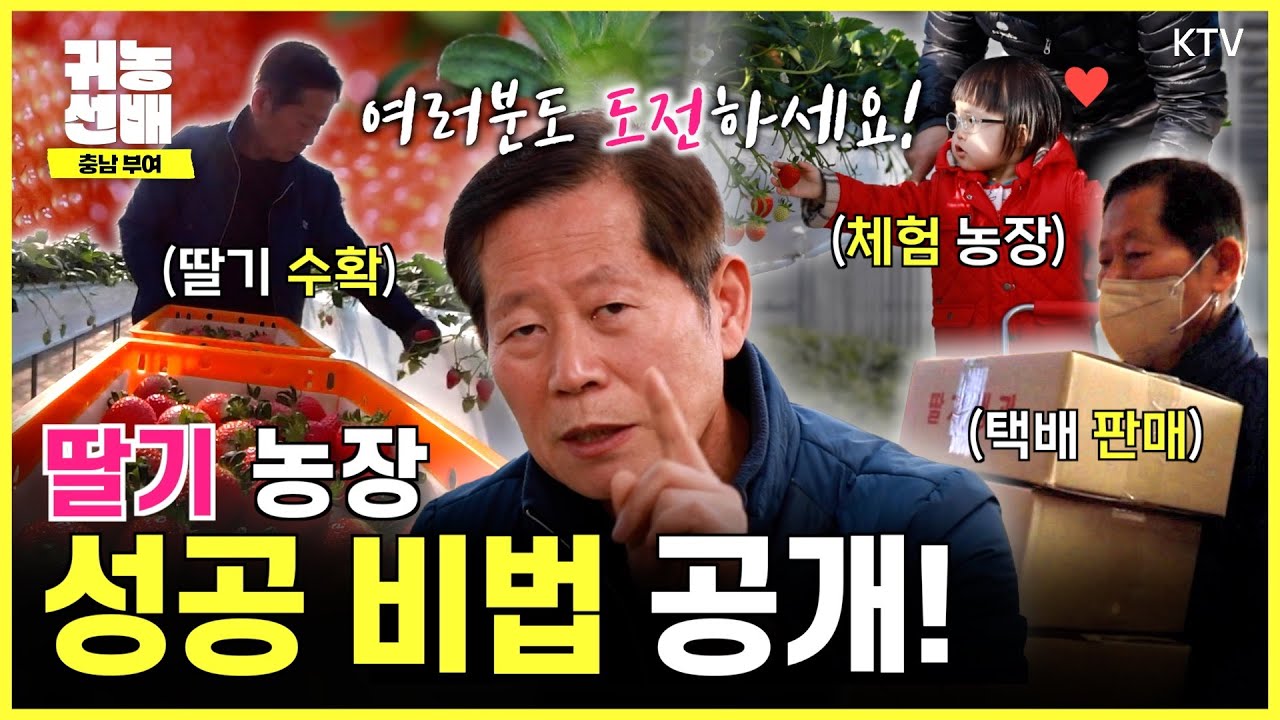 [귀농선배] 무일푼으로 귀농해 #딸기 농사 성공한 썰 푼다! 🍓💰 #체험농장 #논산