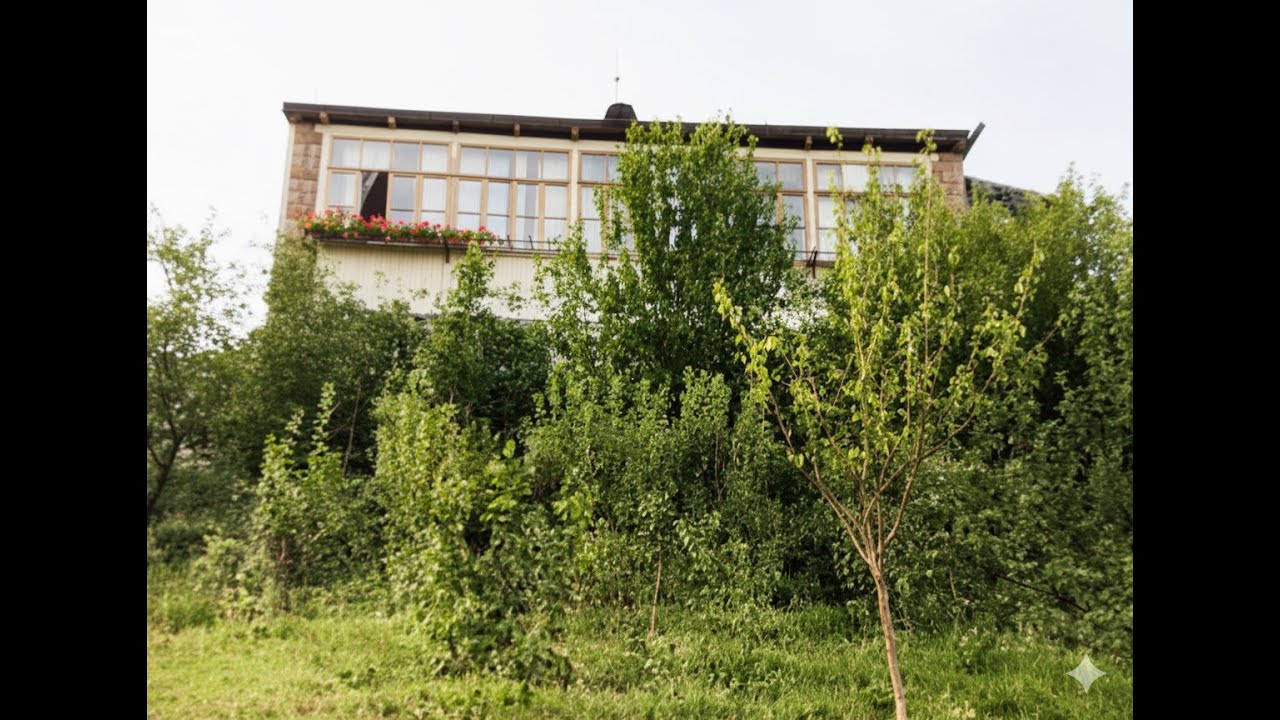 Երազում ես այնտեղ էի