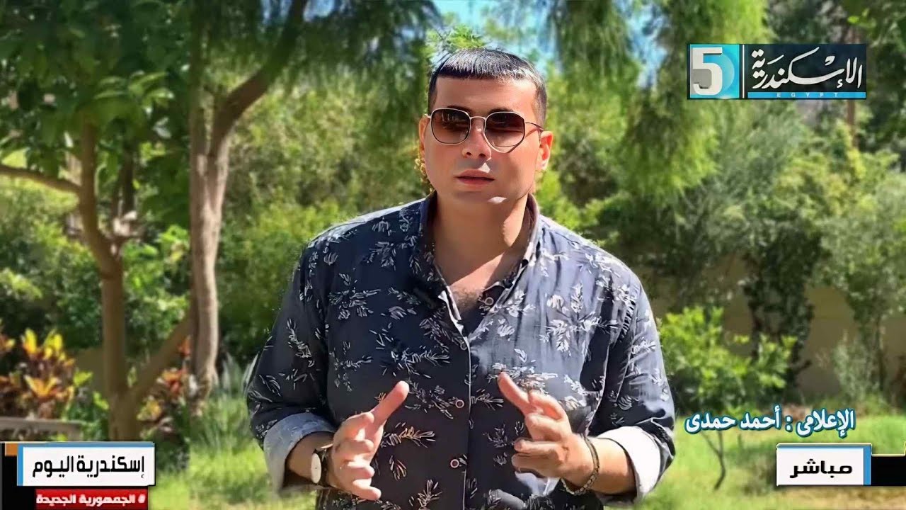 الإعلامى أحمد حمدى | التكنولوجيا و تامين بيئة العمل | #قناة_الاسكندرية