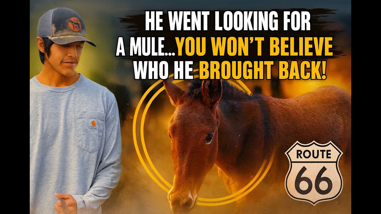 Он отправился на поиски мула… Но вернулся с ЭТИМ 😳🐎