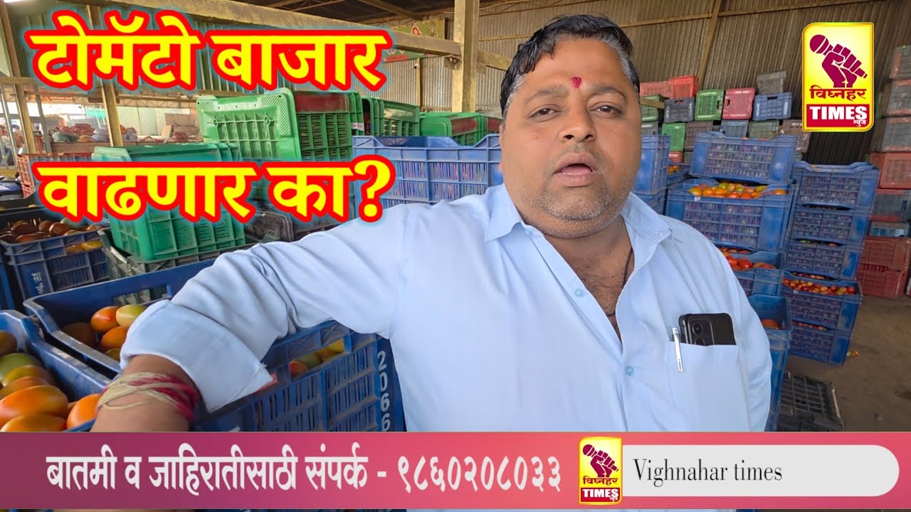 नारायणगाव टोमॅटो मार्केट मध्ये बाजार वाढणार का?
