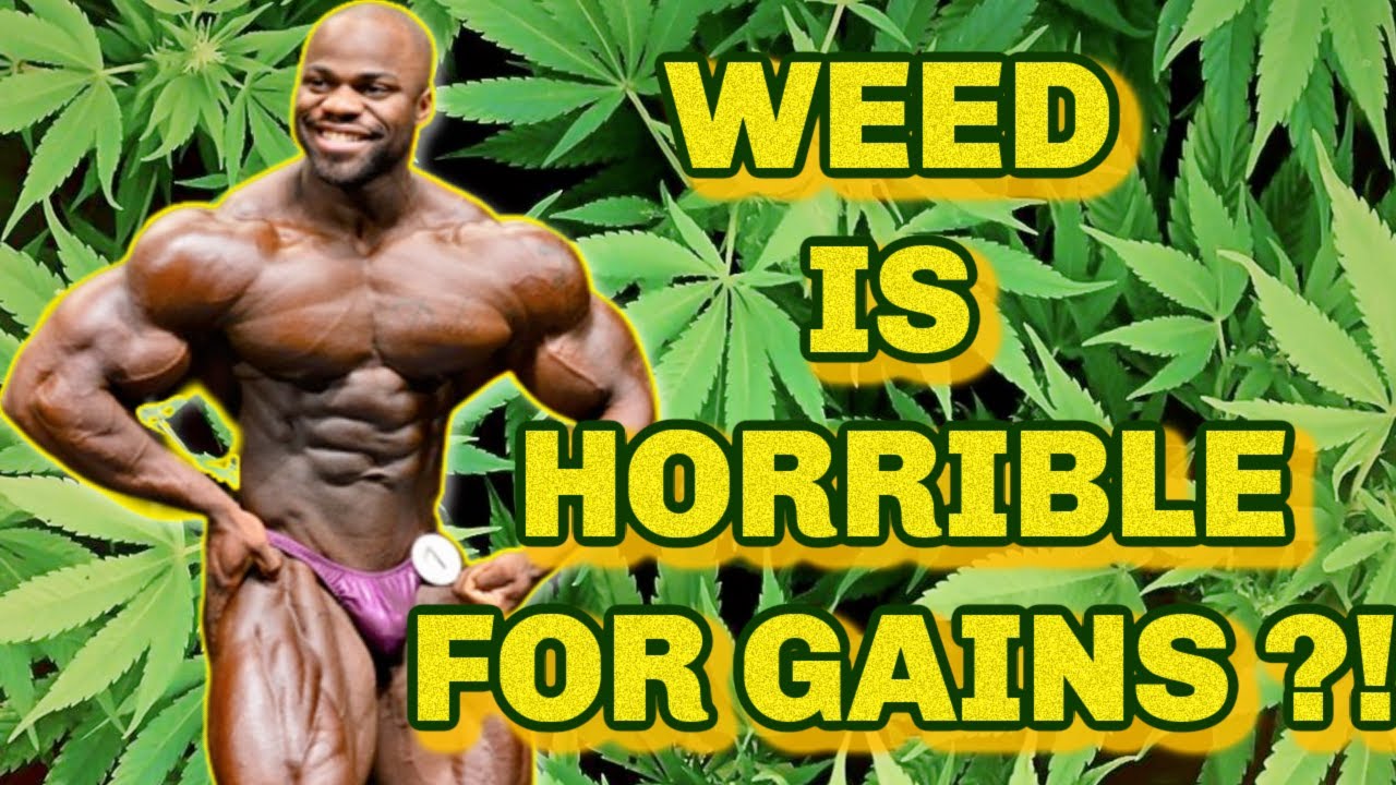 WEED NOT GOOD FOR BUILDING MUSCLE? IFBB pro bodybuilder Quinton Eriya breaks it down