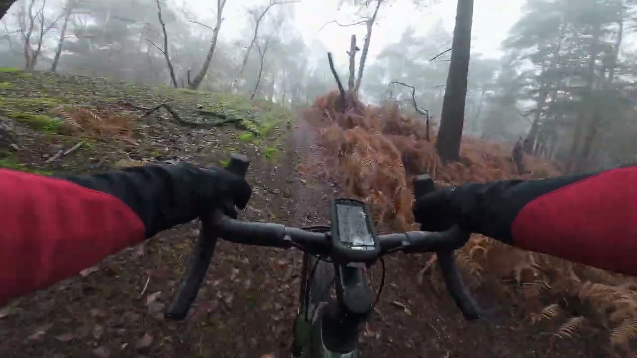 My first trail ride on my new gravel Specialized Creo 2 Comp