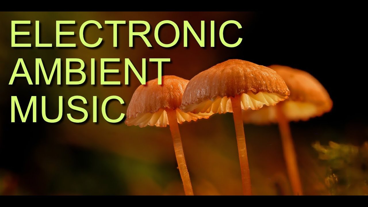 Electronic Ambient Music | Work In Early Progress, January 2019| Music by Super Fata