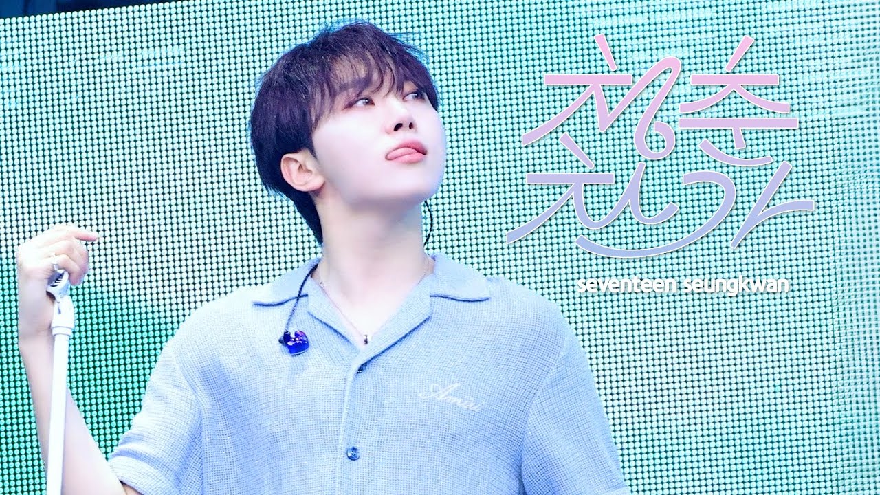 [4K] 240428 FOLLOW AGAIN SEOUL 청춘찬가(Cheers To Youth) 엔딩멘트 SEVENTEEN SEUNGKWAN