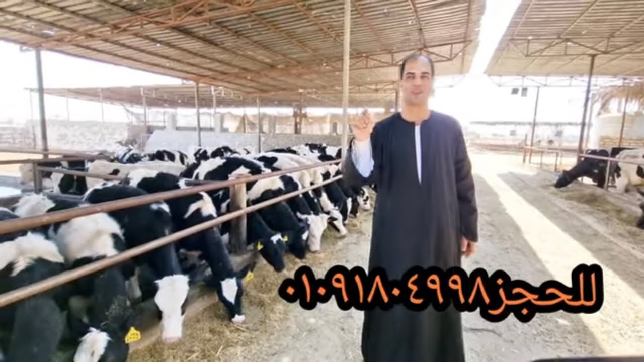 ‏تم افتتاح مزرعة كاملة حوت المنوفيه ￼حب يمتع المتابعين ماجميع ويخص الثروة الحيوانية ت01060351894￼￼