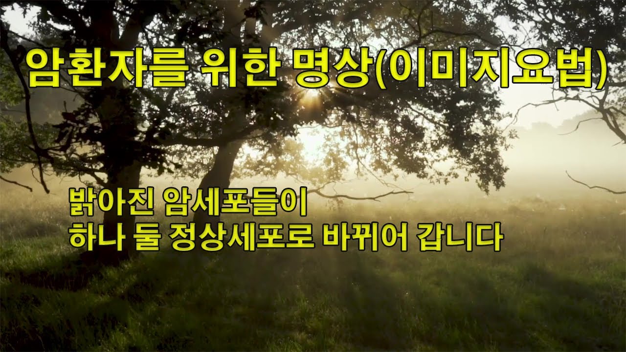 [매일치유] 암환자를 위한 명상(이미지요법)