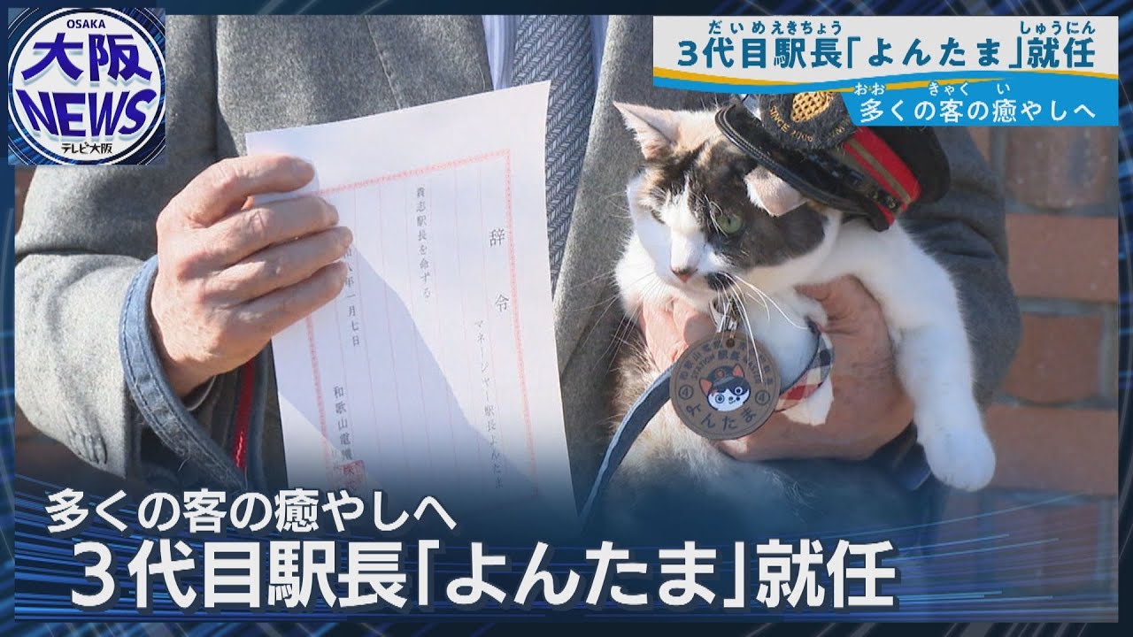 三代目は「よんたま」！【和歌山電鉄・貴志駅ねこ駅長】新入社員「ろくたま」も！