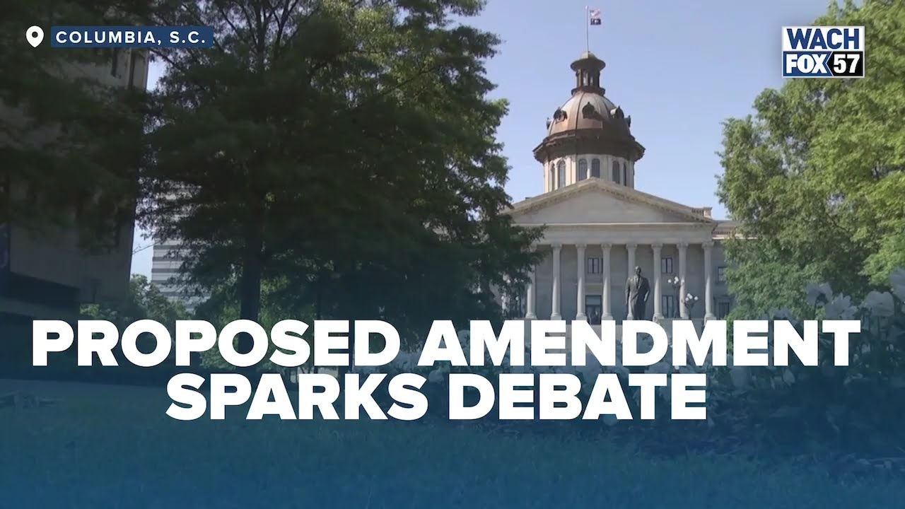 Amendment to change a single word in SC constitution sparks debate