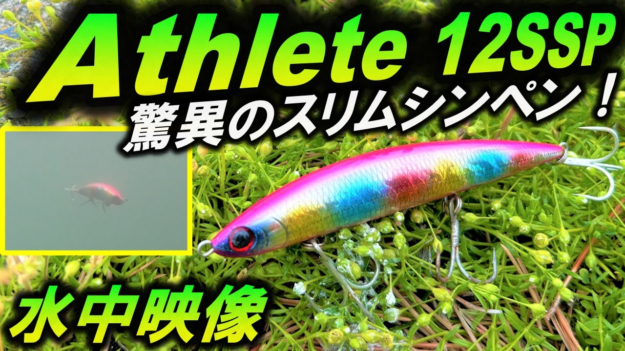 【Jackson アスリート 12SSP】水中映像 フラットフィッシュに効果絶大なルアーです。 ジャクソン Athlete 12