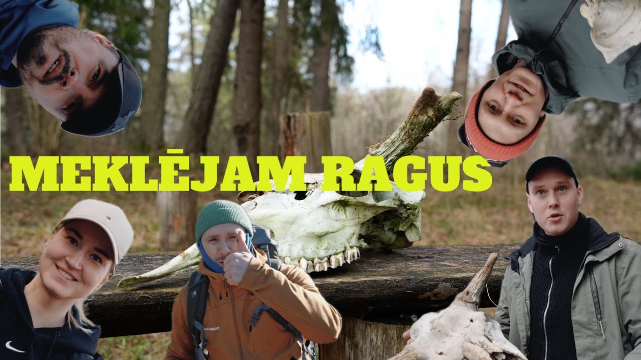 RAGI DŪŅĀS! JEB KĀ MUMS GĀJA MEKLĒJOT RAGUS