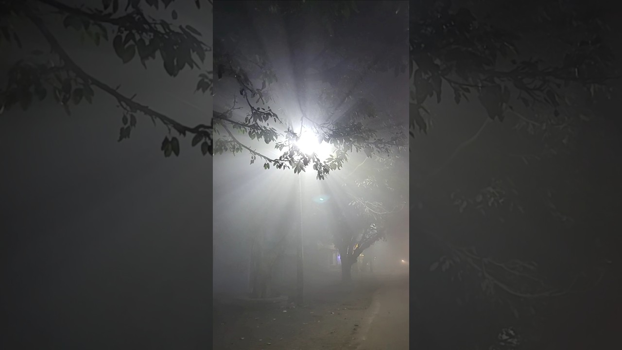 Winter in india #winter #fog #winterspecial #winterlove