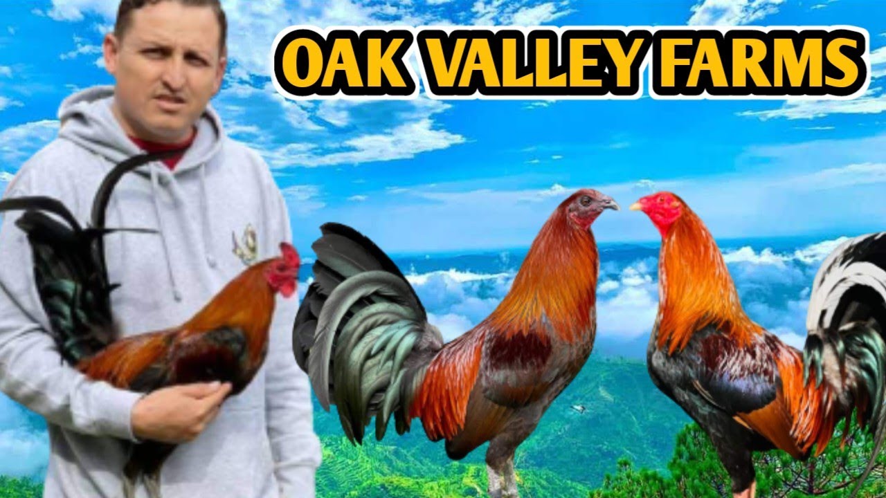 Oak Valley Farms - California