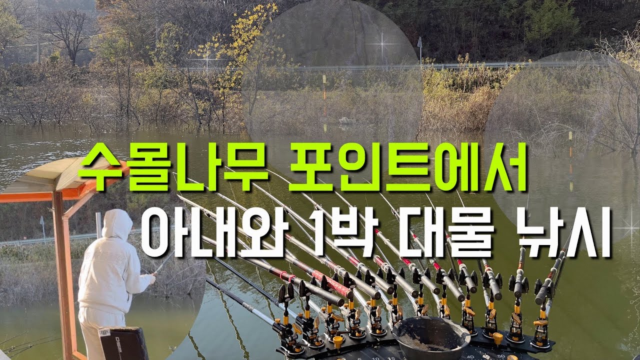 용설 저수지 아내와 1박 낚시! 다대편성 vs 쌍포           #전자찌 #낚시 #붕어 #용설낚시터 #대물