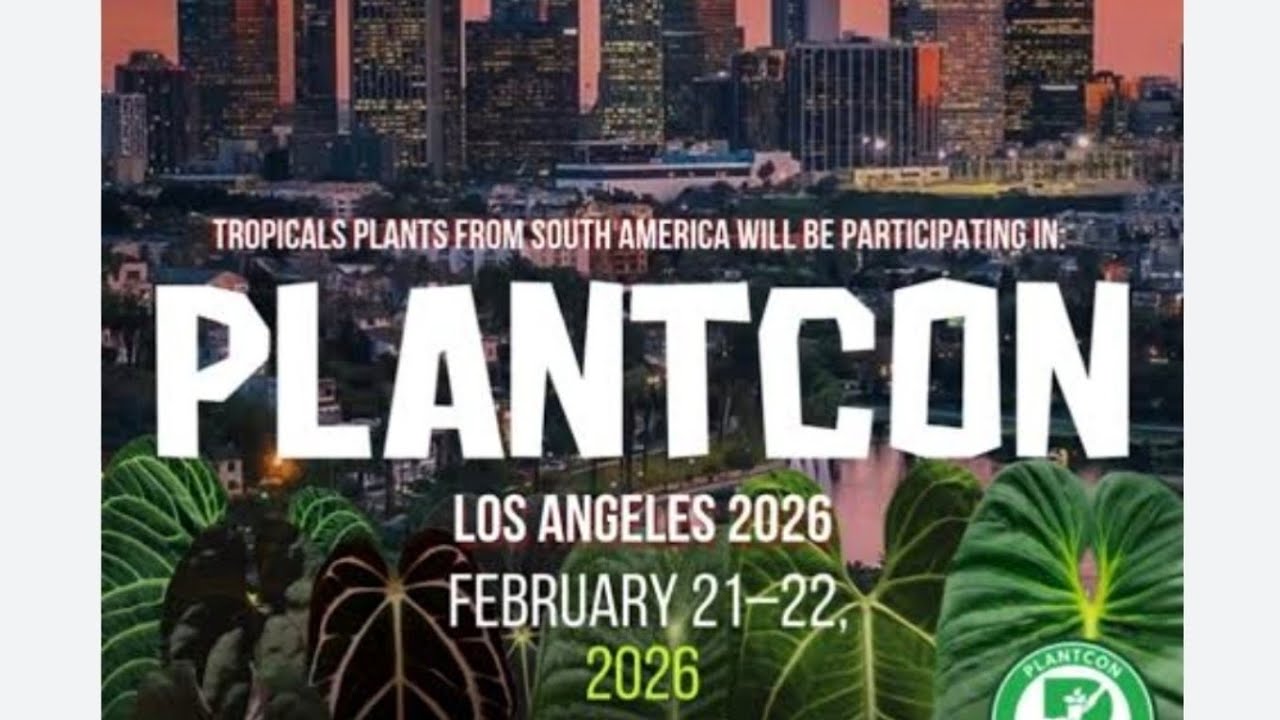 PLANTCON Los Ángeles 🌱 Plantas raras, suculentas y compras
