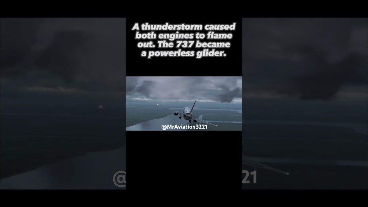 TACA Flight 110 &ndash; Powerless Landing Miracle ✈️🌿 (All Survived) #plane #aviation #TACA110 #emergency