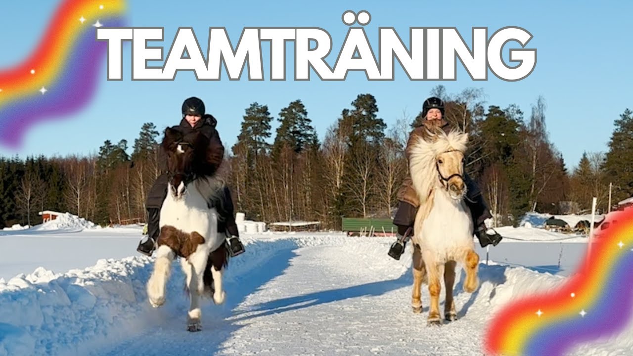 V-LOGG träffa alla 6 ekipage i team Rainbow Hill