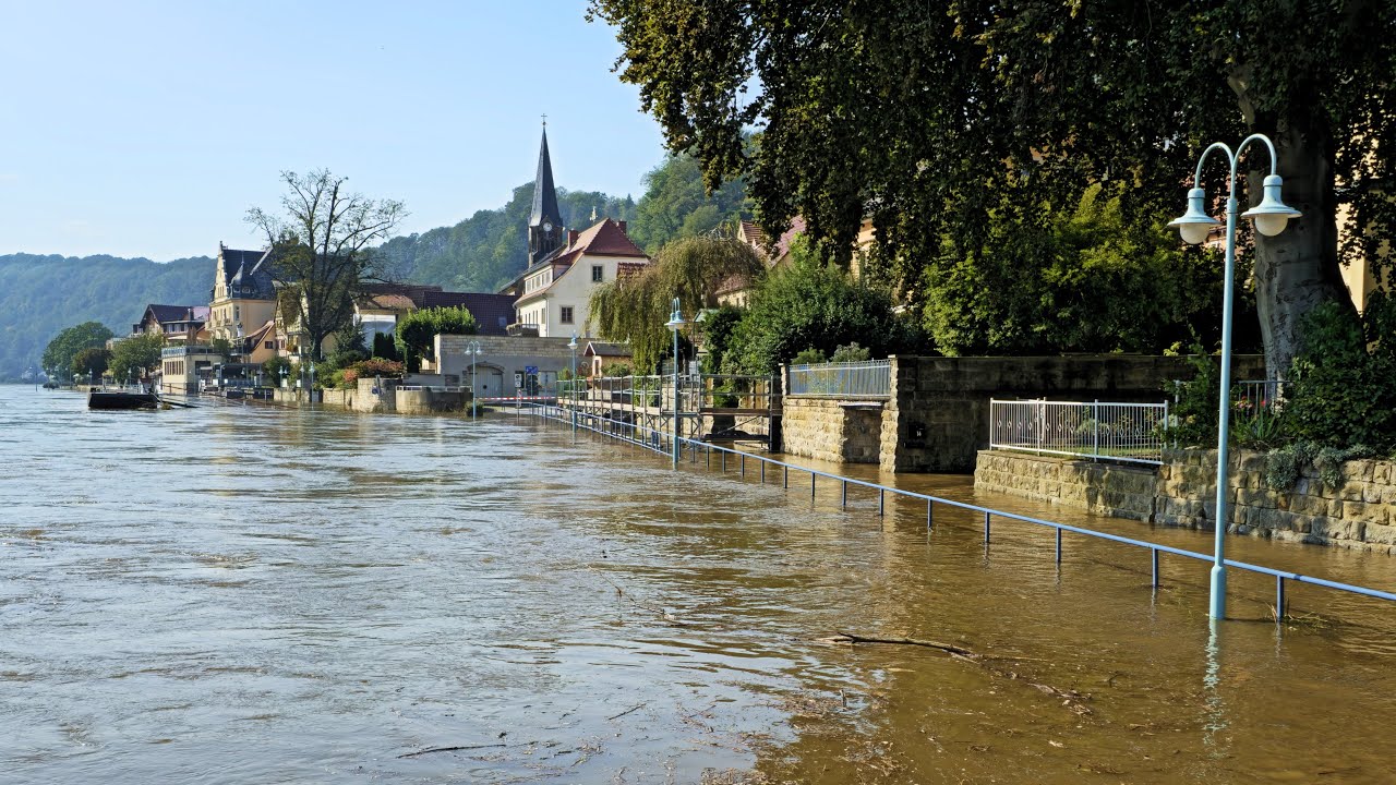 Hochwasser 2024 I Stadt Wehlen I Sächsische Schweiz I 18.09.2024