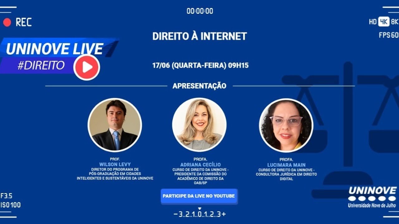 Direito &agrave; Internet