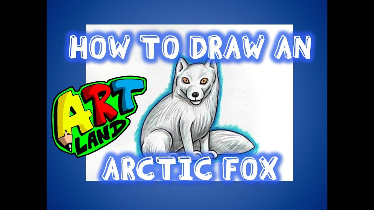 How to Draw an ARCTIC FOX