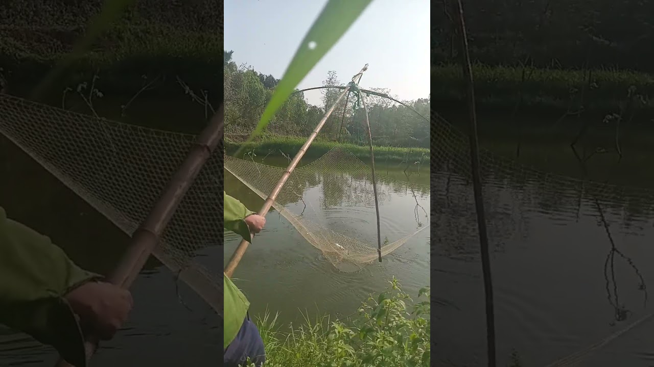 Định cắt đăng từng video 1 nhưng cất ít quá 