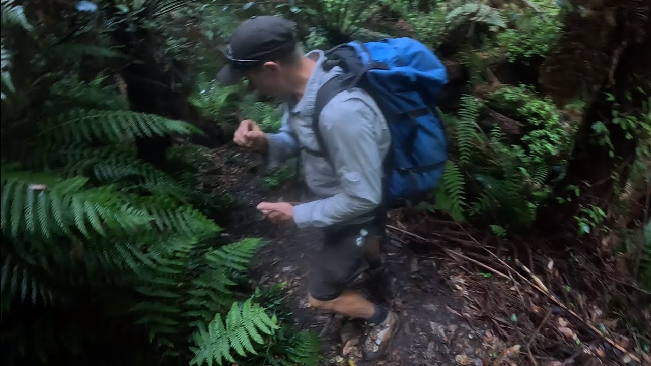 GOBSMACKER CANYON, BOWENS CREEK , BLUE MOUNTAINS