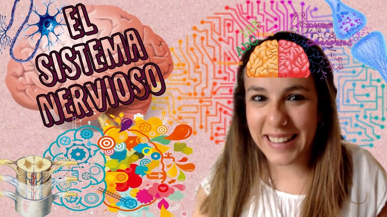 El Sistema Nervioso - Bio[ESO]sfera - Biología