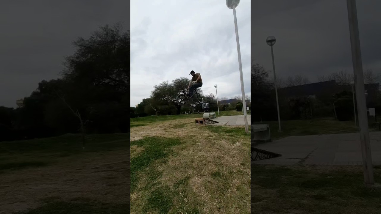 De whip 
