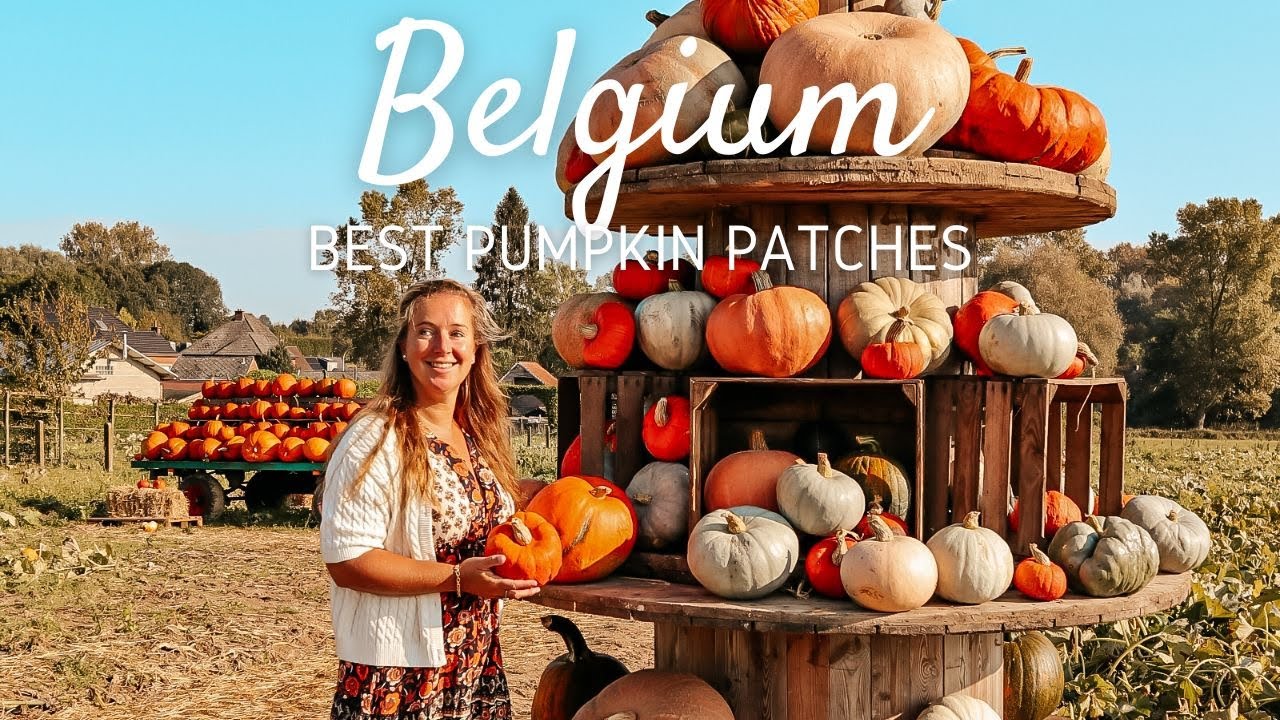 The best pumpkin patches in Belgium to visit during autumn