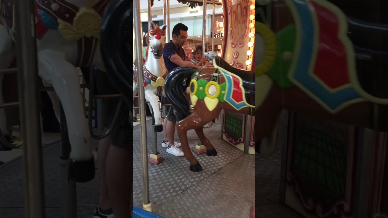 Carousel ride