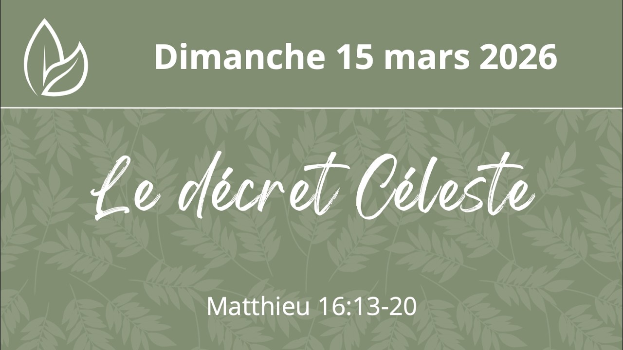 CELR MELUN - Dimanche 15 mars 2026 - 11h30 - Luis Soto 